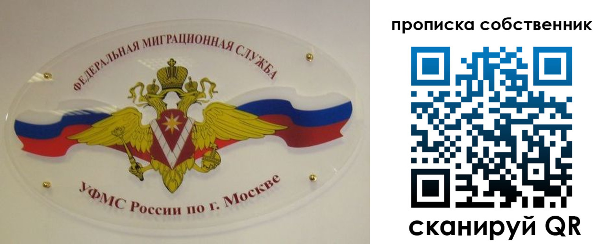 прописка 2025 в Большом Камне